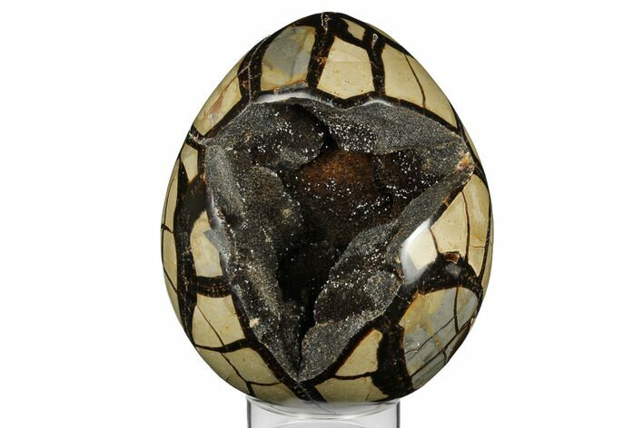 Septarian Dragon Egg Geode - Black & Brown Crystals #183078